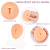 Soft Silicone Belly Button Flexible Model Body Part Displays with Acrylic Stands ODIS-WH0002-21-4