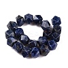 Natural Sodalite Beads Strands G-T138-41-2