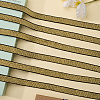 11M Polyester Elastic Ribbon DIY-GF0011-58A-03-3