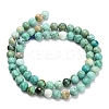 Natural Peruvian Turquoise(Jasper) Beads Strands G-L642-B08-6mm-3