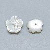 Natural White Shell Beads SSHEL-S260-002-2