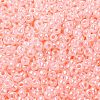 MIYUKI Round Rocailles Beads X-SEED-G008-RR0517-1