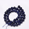 Dyed Natural Lapis Lazuli Round Beads Strands G-M169-12mm-05-2