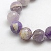 Natural Gemstone Amethyst Round Beads Strands G-O021-12mm-13-2