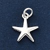 925 Sterling Silver Charms LS-FIND-Z069-04S-A-2