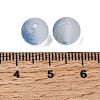 Frosted Transparent Glass Beads GLAA-A045-04L-3