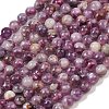 Natural Lepidolite/Purple Mica Stone Beads Strands G-G160-A01-04-2