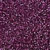 MIYUKI Delica Beads SEED-J020-DB2162-2