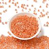 Glass Seed Beads SEED-H002-F-1108-2