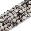 Natural Fire Crackle Agate Beads Strands G-C082-A01-42-2