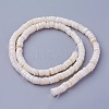 Natural Shell Beads Strands X-SSHEL-E571-49I-2