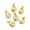 Brass Micro Pave Cubic Zirconia Pendant ZIRC-P089-19G-C-1