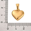 304 Stainless Steel Pendants STAS-P278-01B-G-1-3