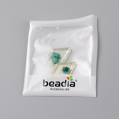 Transparent Clear Resin Pendants RESI-TAC0007-06D-1