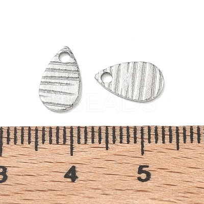 304 Stainless Steel Charms STAS-G393-05P-03-1