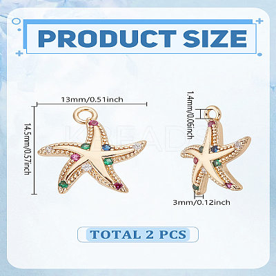 2Pcs Brass Micro Pave Cubic Zirconia Charms KK-LP0002-13-1