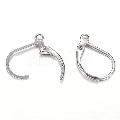 Tarnish Resistant 304 Stainless Steel Leverback Earring Findings X-STAS-M217-03-1