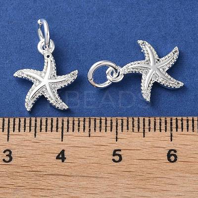 Rack Plating Brass Micro Pave Clear Cubic Zirconia Charms KK-D097-04S-1