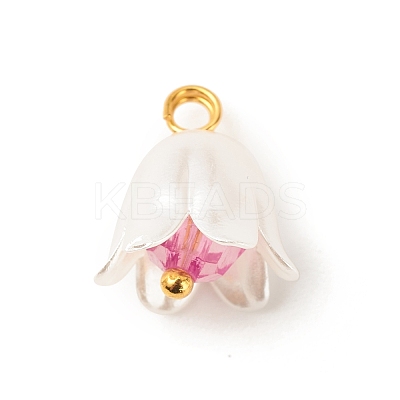 Spray Painted ABS Plastic Imitation Pearl Charms PALLOY-JF01603-04-1