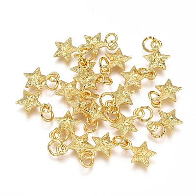 Electroplated Alloy Charms X-PALLOY-G267-09G-1
