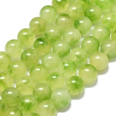 Natural Malaysia Jade Beads Strands G-L645-C01-10mm-31-1