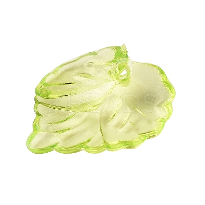 Transparent Acrylic Pendants X1-DBLA410-9-1