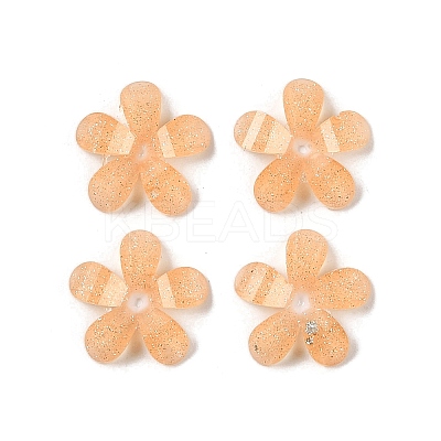 Translucent Epoxy Resin Glitter Powder Decoden Cabochons CRES-S367-14A-1