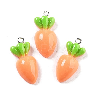 Opaque Resin Pendants RESI-S013-02G-1