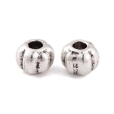 Antique Silver Alloy Tibetan Beads FIND-S230-10AS-1