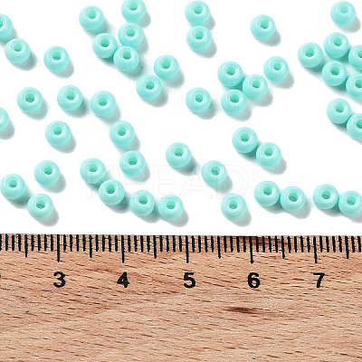 Baking Paint Glass Seed Beads SEED-H002-I-A525-1