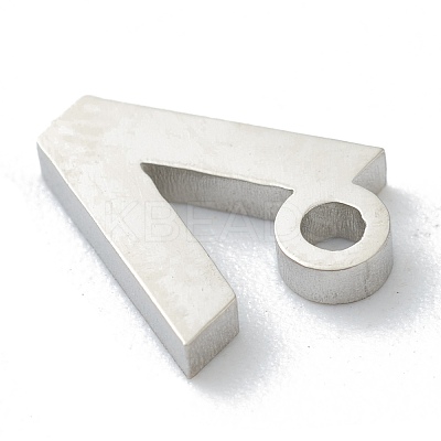 Non-Tarnish 304 Stainless Steel Charms STAS-G244-01N-1