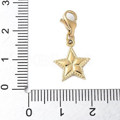 304 Stainless Steel Star Pendant Decoration STAS-S165-08G-1