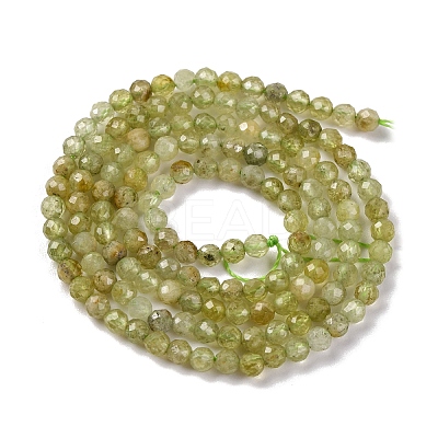 Natural Green Garnet Beads Strands G-A235-A02-02-1