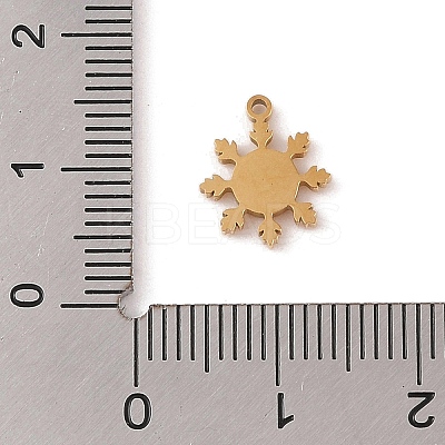 Ion Plating(IP) 304 Stainless Steel Charms STAS-Z083-01G-1