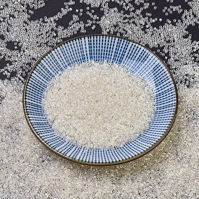 MIYUKI Delica Beads SEED-J020-DB0109-1