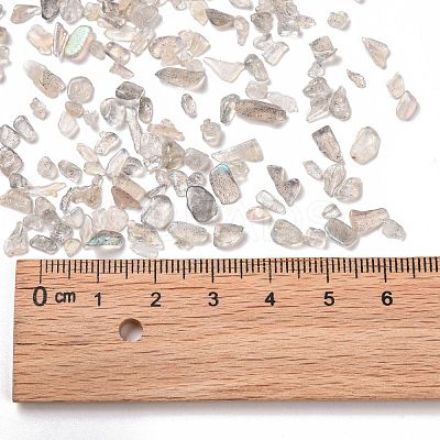 Natural Labradorite Beads G-O103-22-1