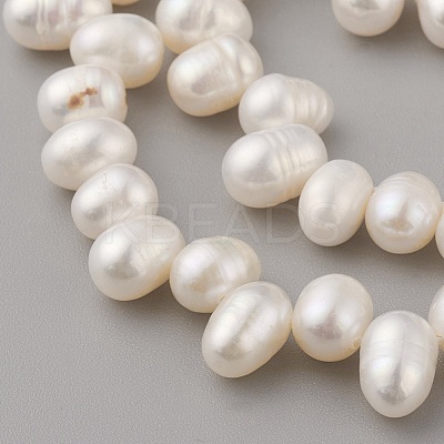 Natural Cultured Freshwater Pearl Beads Strands PEAR-G007-16-1