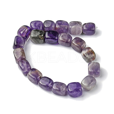 Natural Amethyst Beads Strands G-F743-02T-1