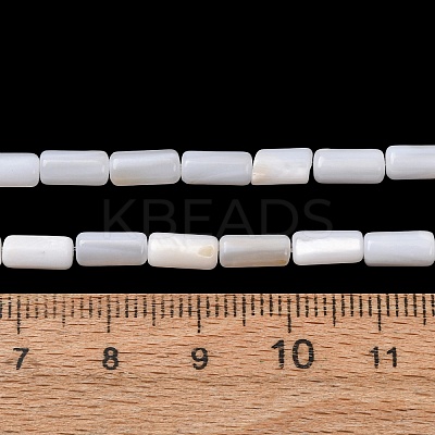 Natural Freshwater Shell Beads Strands SH-CBA2978-21B-1