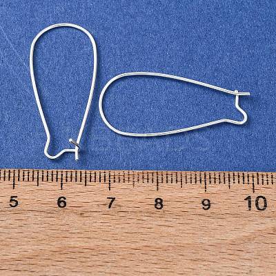 Brass Hoop Earrings Findings Kidney Ear Wires KK-EC221-NFS-NF-1