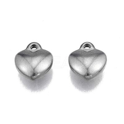 Non-Tarnish 304 Stainless Steel Charms STAS-N099-26-1