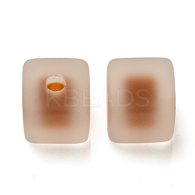 Frosted Acrylic European Beads OACR-G012-14D-1