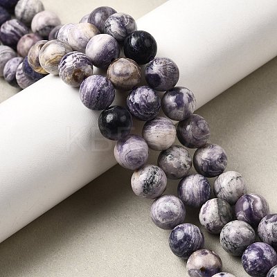 Natural Purple Stripe Jasper Beads Strands G-K350-C03-10mm-1