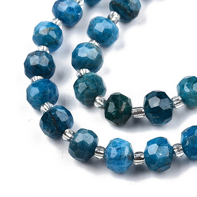 Natural Apatite Beads Strands G-N327-08D-1