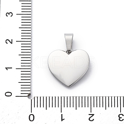 304 Stainless Steel Charms STAS-U043-18P-1