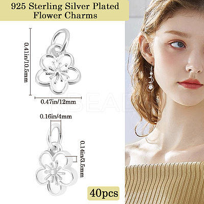 40Pcs Rack Plating Alloy Charms FIND-BBC0003-41S-1