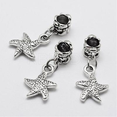 Alloy European Dangle Charms PALLOY-P120-12-1