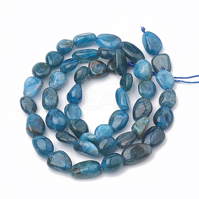 Natural Apatite Beads Strands G-S331-6x8-002-1