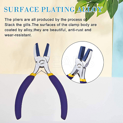 Steel Jewelry Pliers PT-BC0002-18-1