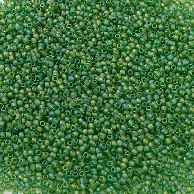 TOHO 11/0 Round Beads X-SEED-TR11-0167F-1